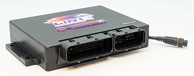 Link ECU BMW Mini Cooper S 2002-2006 Engine management