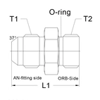 AN16 male - An20 O-ring male Adapter