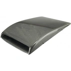 Duct inlet roof Carbon