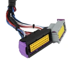 Volvo B230 ECU Master Black PnP KIT