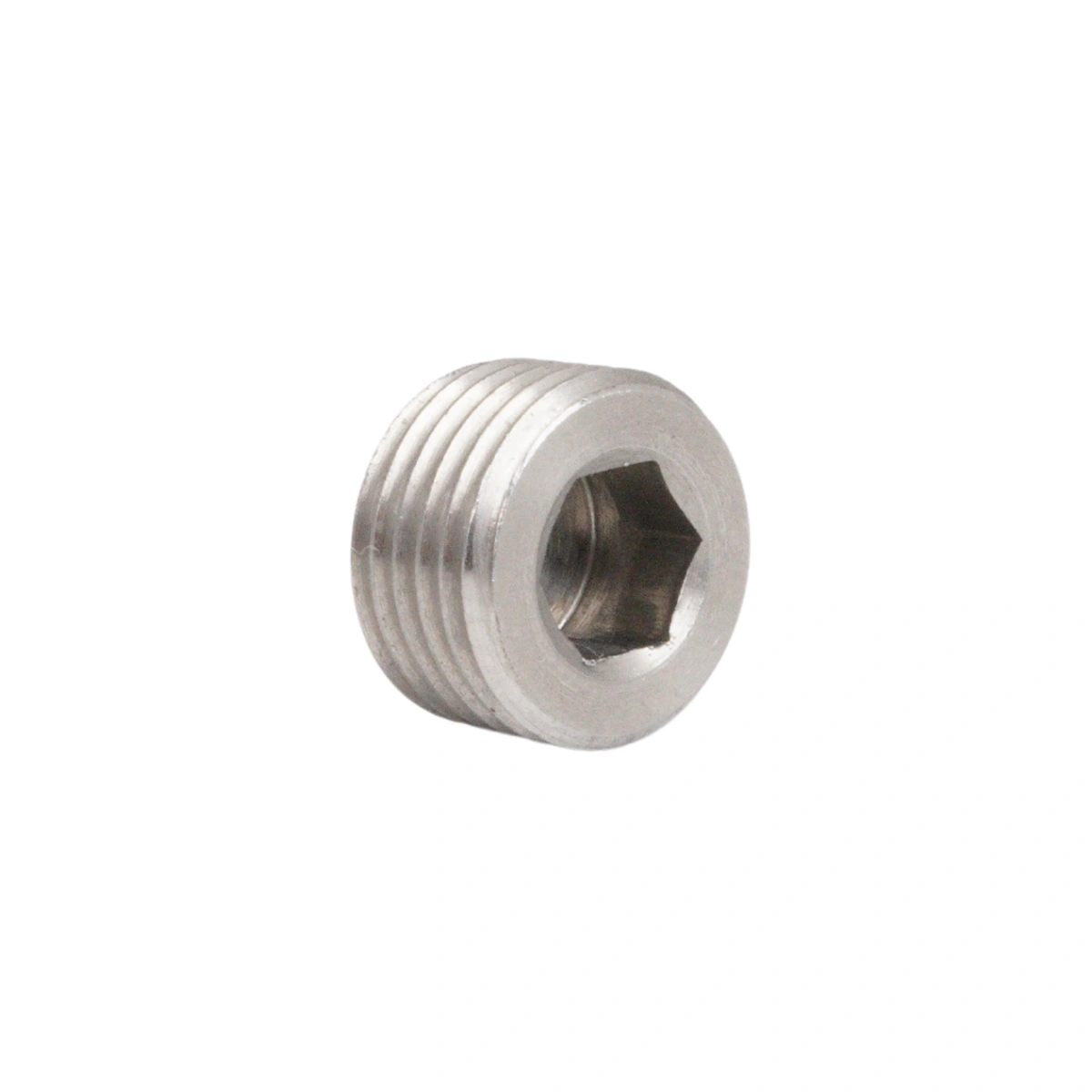 1/8" NPT male Plugg stainless steel